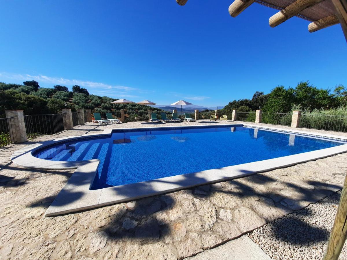 Hacienda La Buena Vida B&B En Appartementen Casita La Bruja Algarinejo Dış mekan fotoğraf