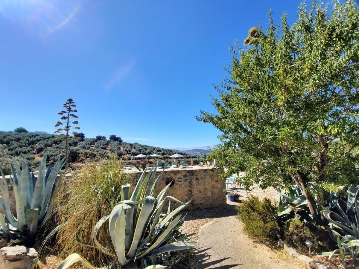 Hacienda La Buena Vida B&B En Appartementen Casita La Bruja Algarinejo Dış mekan fotoğraf