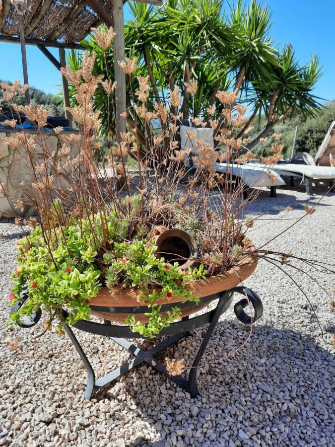 Hacienda La Buena Vida B&B En Appartementen Casita La Bruja Algarinejo Dış mekan fotoğraf