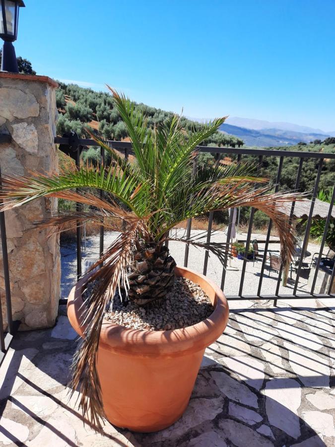 Hacienda La Buena Vida B&B En Appartementen Casita La Bruja Algarinejo Dış mekan fotoğraf
