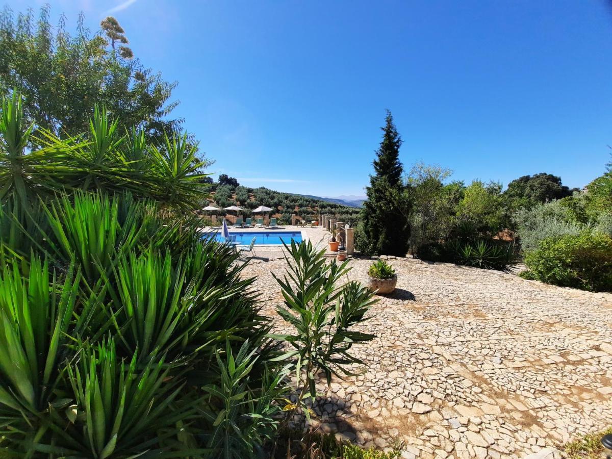Hacienda La Buena Vida B&B En Appartementen Casita La Bruja Algarinejo Dış mekan fotoğraf