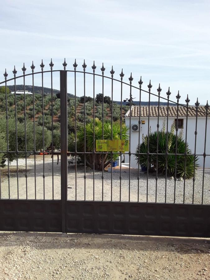 Hacienda La Buena Vida B&B En Appartementen Casita La Bruja Algarinejo Dış mekan fotoğraf