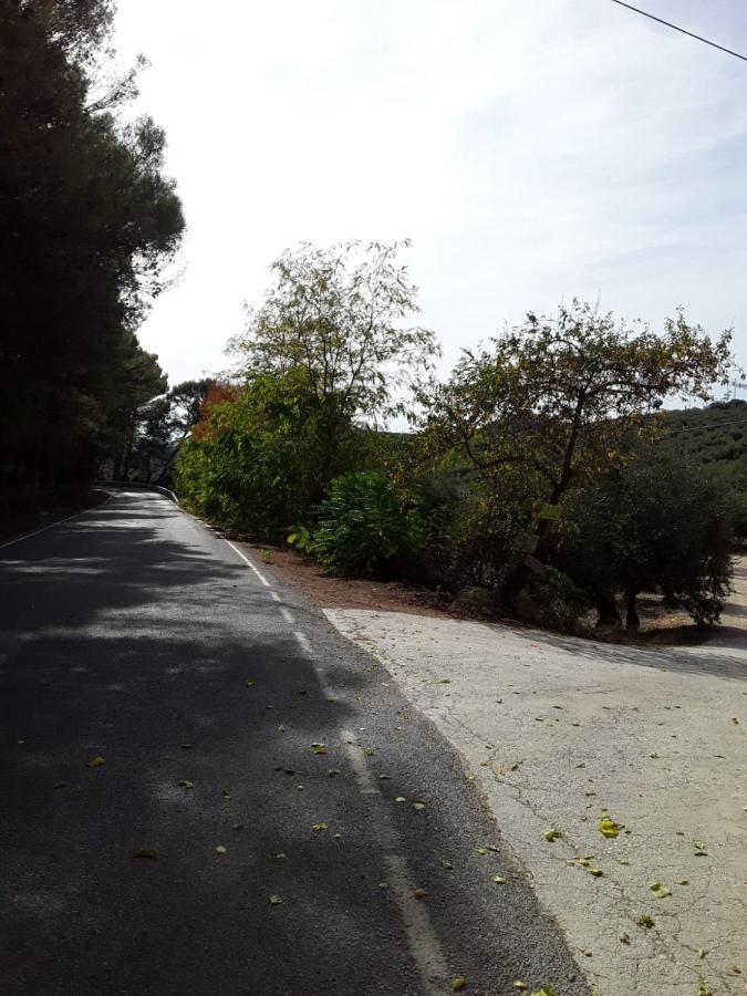Hacienda La Buena Vida B&B En Appartementen Casita La Bruja Algarinejo Dış mekan fotoğraf