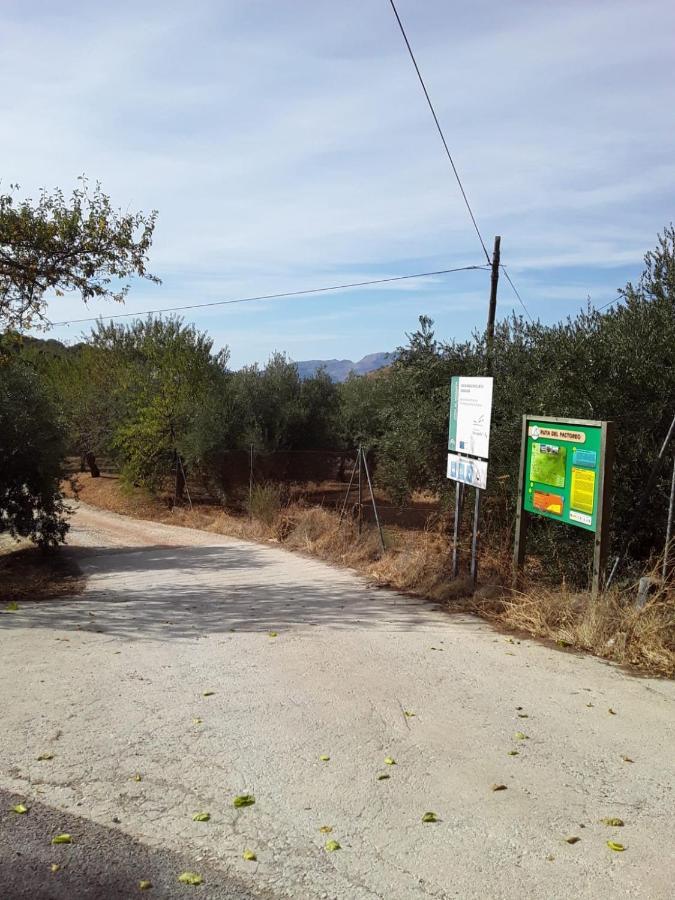 Hacienda La Buena Vida B&B En Appartementen Casita La Bruja Algarinejo Dış mekan fotoğraf