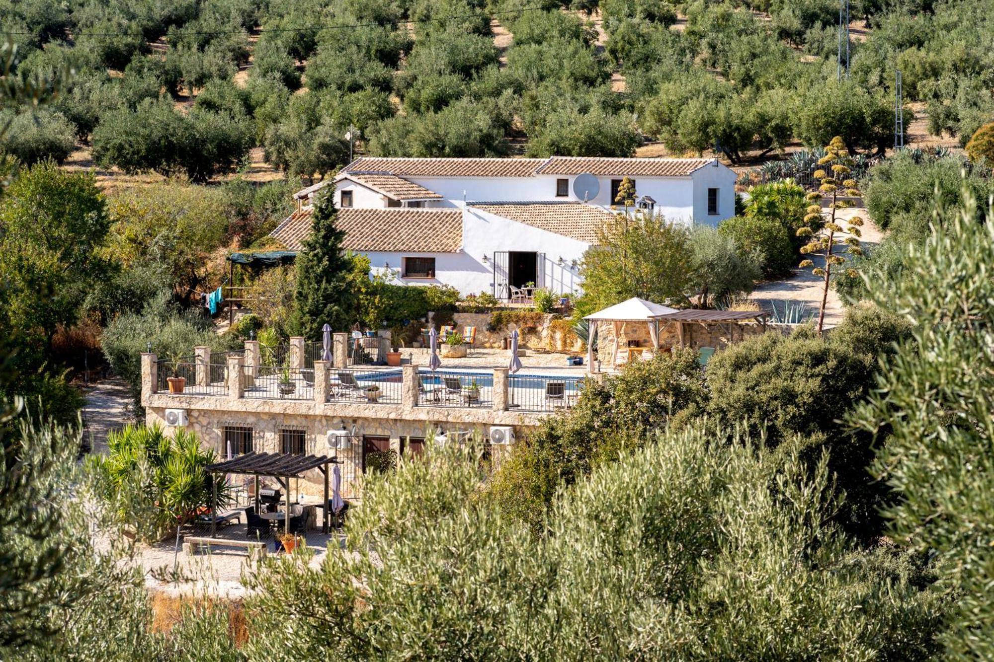 Hacienda La Buena Vida B&B En Appartementen Casita La Bruja Algarinejo Oda fotoğraf